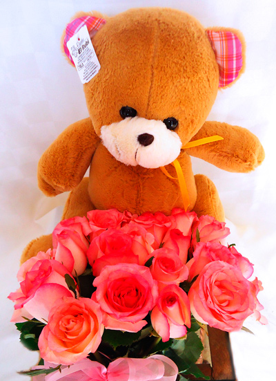 Tierno peluche con rosas - foto 1